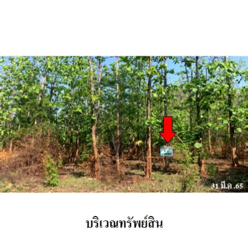 ที่ดินเปล่า นครสวรรค์ พยุหะคีรี เขากะลา 303000