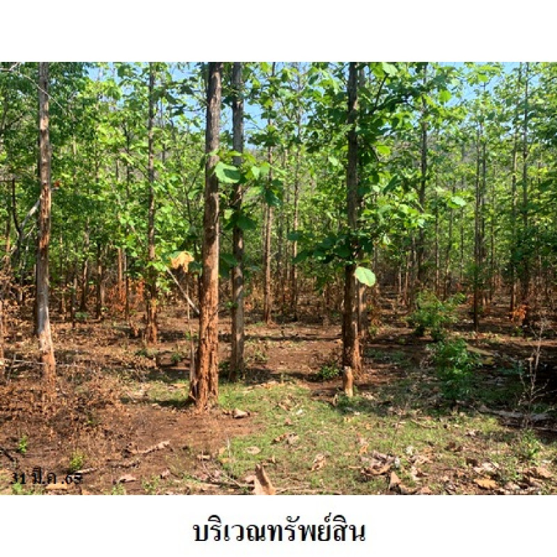 ที่ดินเปล่า นครสวรรค์ พยุหะคีรี เขากะลา 303000