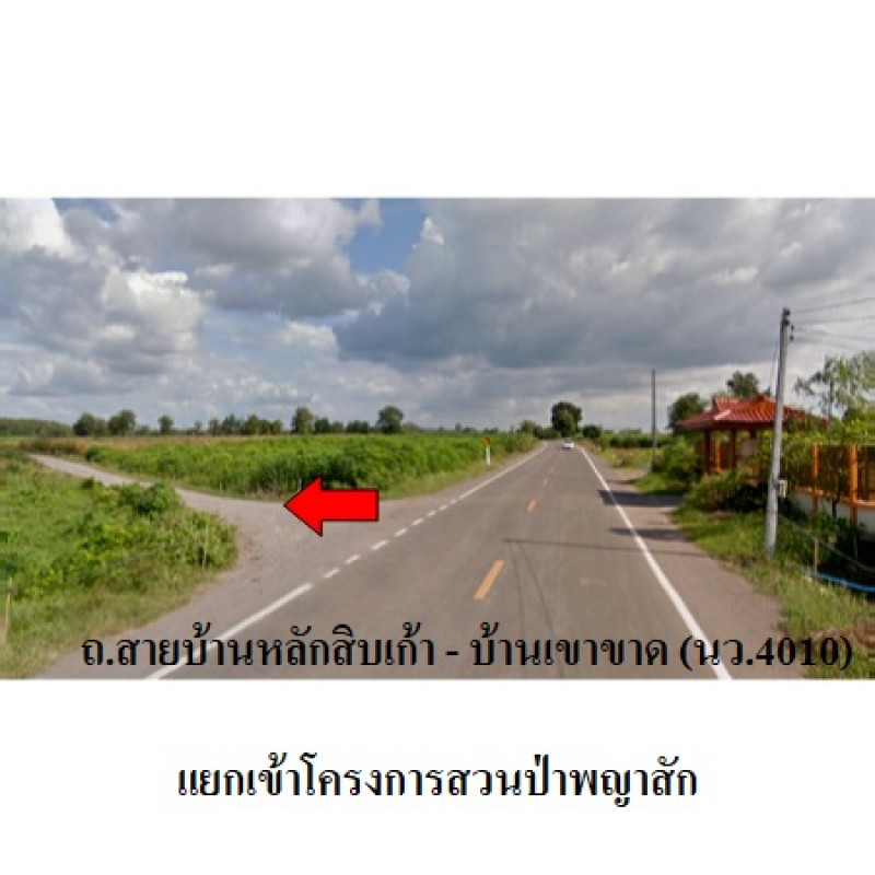 ที่ดินเปล่า นครสวรรค์ พยุหะคีรี เขากะลา 303000
