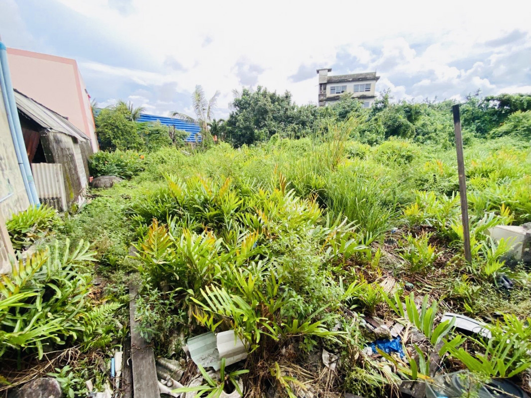 Residential land/lot Samut Prakan Phra Pradaeng Bang Khru 850000