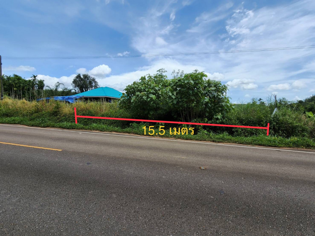 ที่ดินเปล่า ตราด เขาสมิง ทุ่งนนทรี 1300000