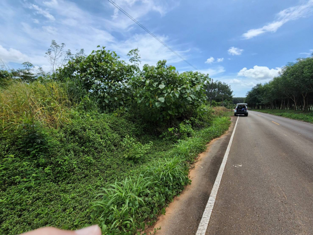 ที่ดินเปล่า ตราด เขาสมิง ทุ่งนนทรี 1300000