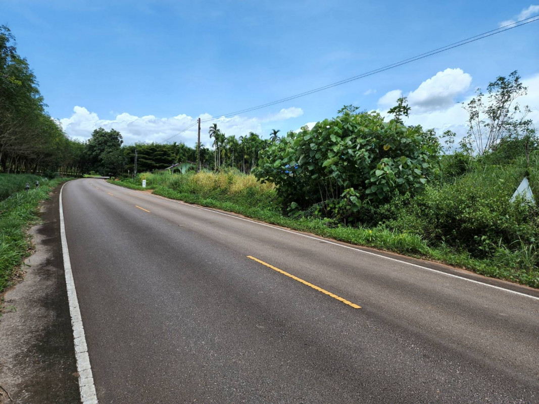 ที่ดินเปล่า ตราด เขาสมิง ทุ่งนนทรี 1300000