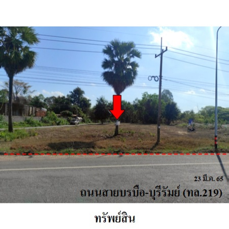 ที่ดินเปล่า มหาสารคาม พยัคฆภูมิพิสัย เมืองเสือ 2500000