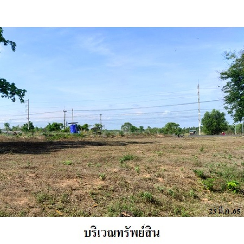 ที่ดินเปล่า มหาสารคาม พยัคฆภูมิพิสัย เมืองเสือ 2500000