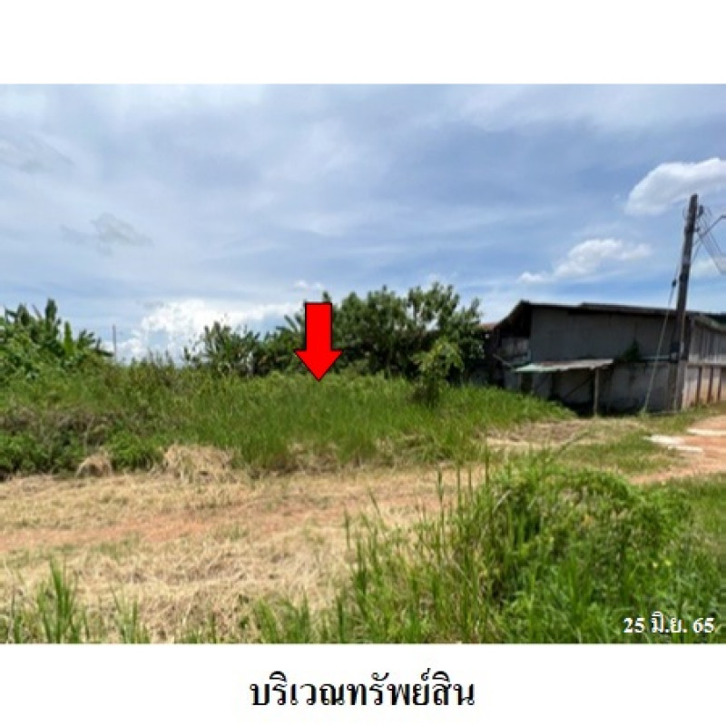 ที่ดินเปล่า เชียงใหม่ ฝาง เวียง 735000