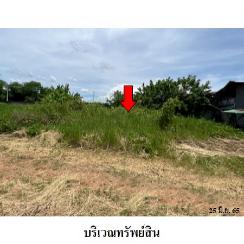 ที่ดินเปล่า เชียงใหม่ ฝาง เวียง 735000