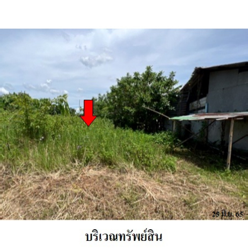ที่ดินเปล่า เชียงใหม่ ฝาง เวียง 735000