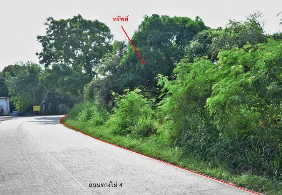 Residential land/lot Rayong Mueang Rayong Choeng Noen 20029000