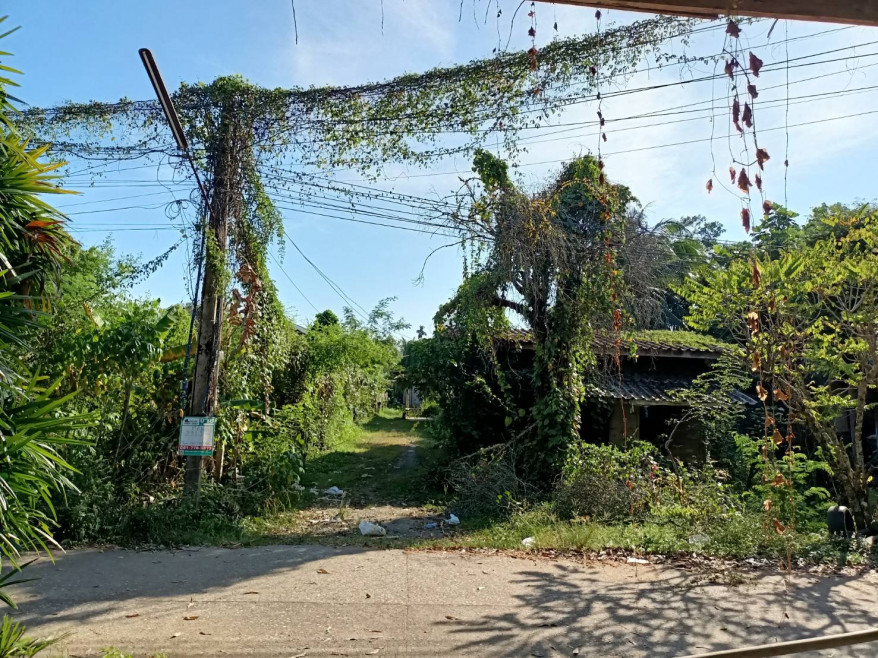 ที่ดินเปล่า จันทบุรี เมืองจันทบุรี จันทนิมิต 4300000