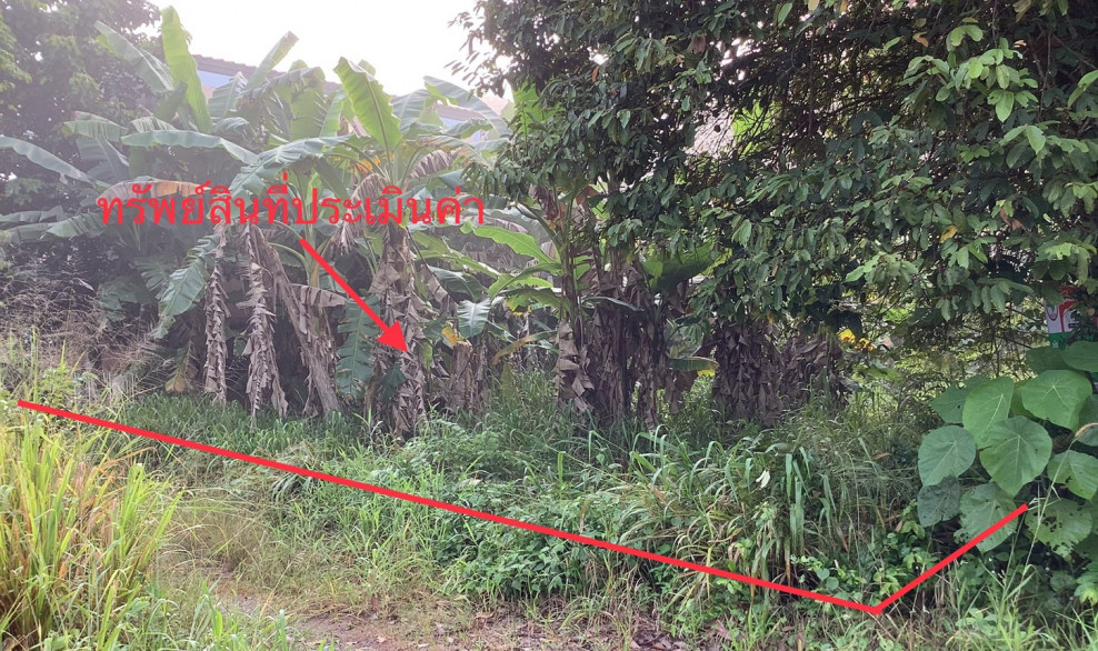 Residential land/lot Surat Thani Mueang Surat Thani Khun Thale 1601000