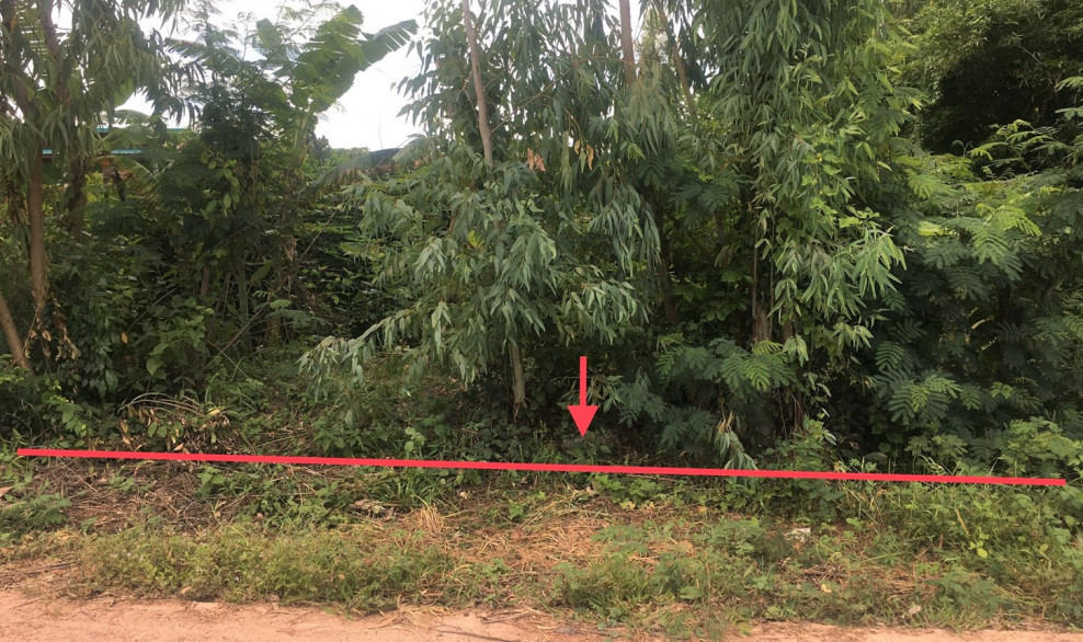 Residential land/lot Kalasin Somdet Somdet 1638000