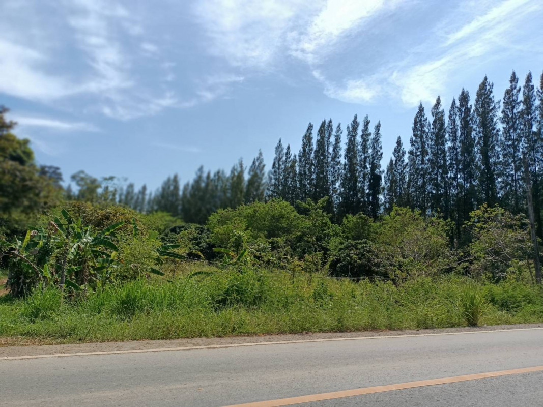 ที่ดินเปล่า จันทบุรี โป่งน้ำร้อน หนองตาคง 26700000