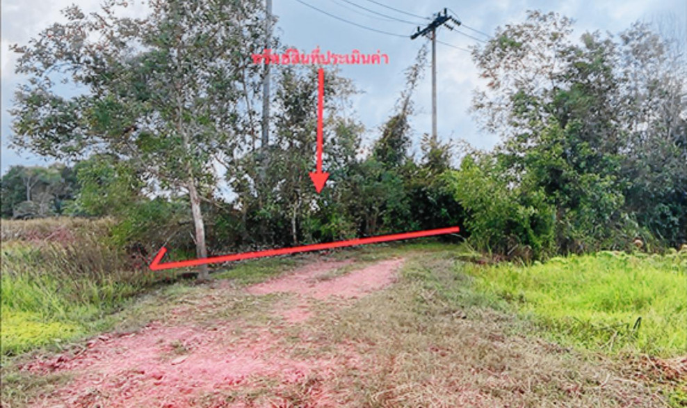 Residential land/lot Songkhla Mueang Songkhla Thung Wang 495000