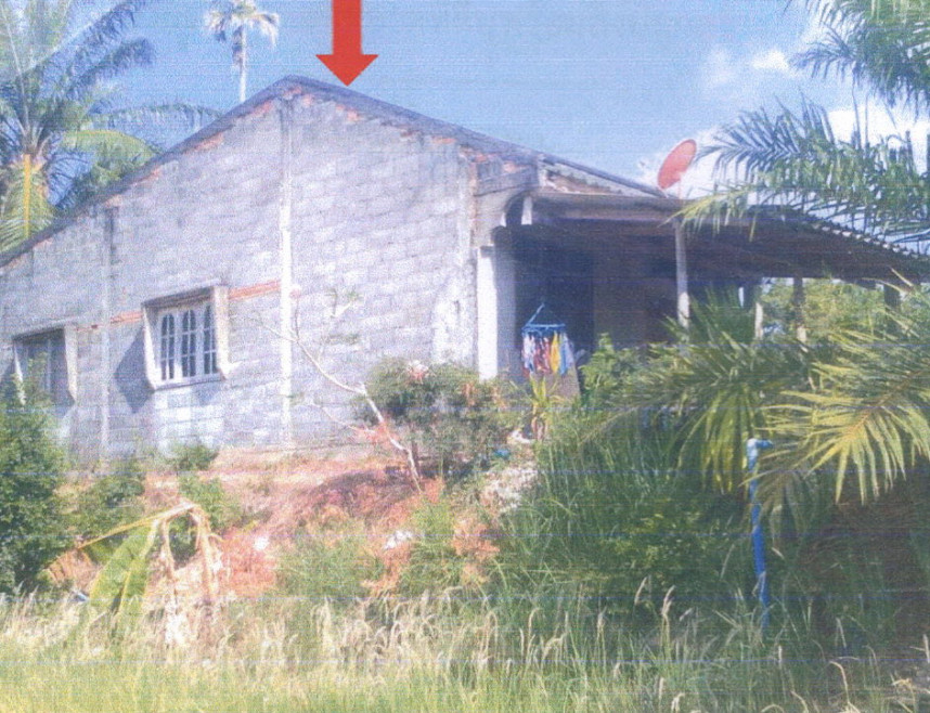 Single house Trang Ratsada Khuan Mao 500115