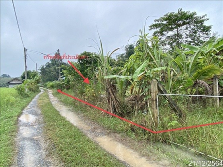 Single house Phatthalung Mueang Phatthalung Tha Khae 1367000