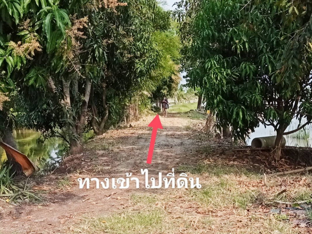 ที่ดินเปล่า นนทบุรี บางบัวทอง โสนลอย 85000000