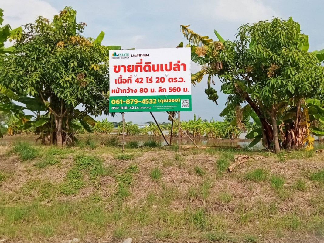 ที่ดินเปล่า นนทบุรี บางบัวทอง โสนลอย 85000000