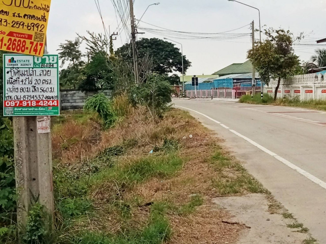ที่ดินเปล่า นนทบุรี บางบัวทอง โสนลอย 85000000