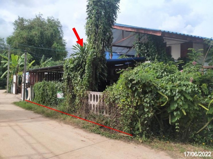 Single house Loei Mueang Loei Kut Pong 1463000