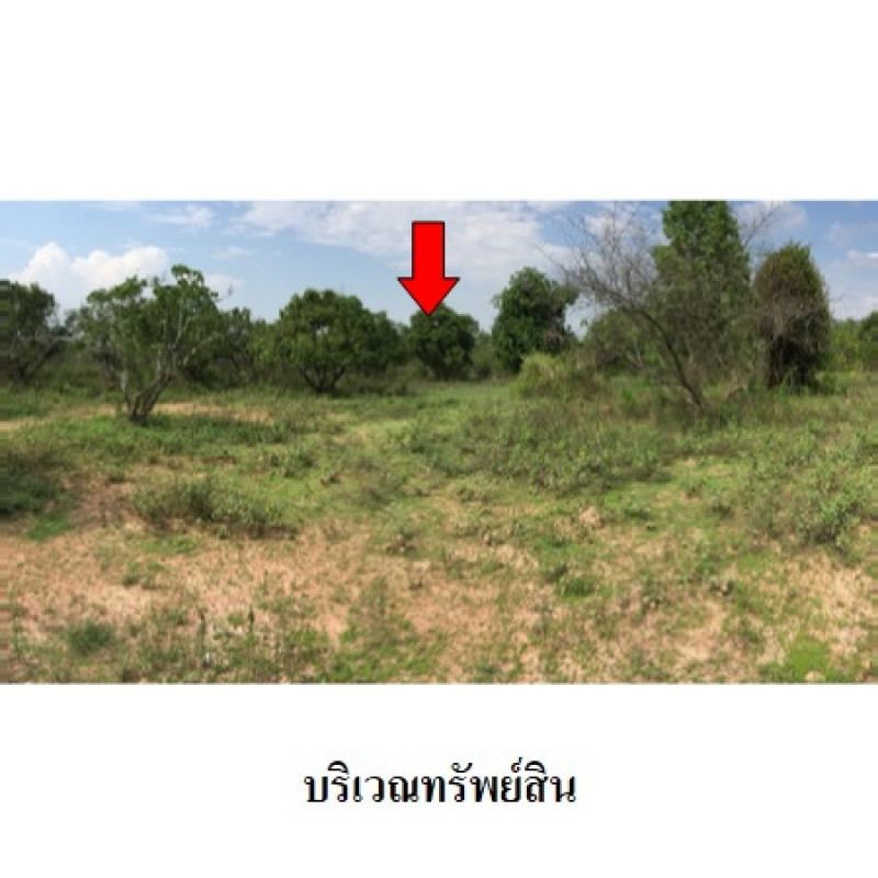 ที่ดินเปล่า ลำพูน เมืองลำพูน เหมืองจี้ 2120000