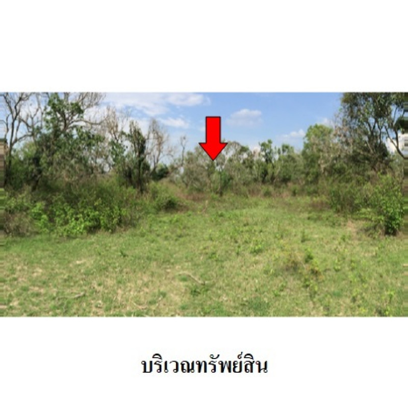 ที่ดินเปล่า ลำพูน เมืองลำพูน เหมืองจี้ 2120000