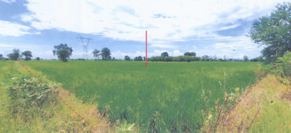 Residential land/lot Nakhon Sawan Takhli Lat Thippharot 399906