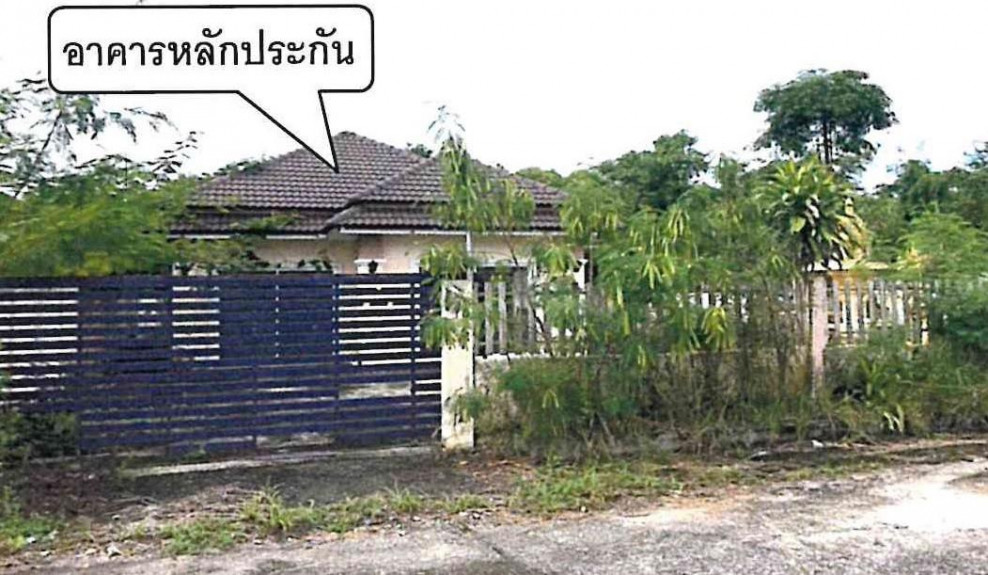 Single house Prachin Buri Mueang Prachin Buri Dong Khi Lek 0