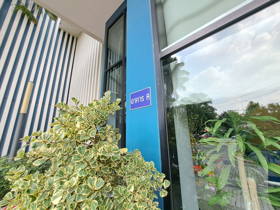 คอนโด เดอะ นิช โมโน รัชวิภา กรุงเทพมหานคร จตุจักร ลาดยาว 2940000