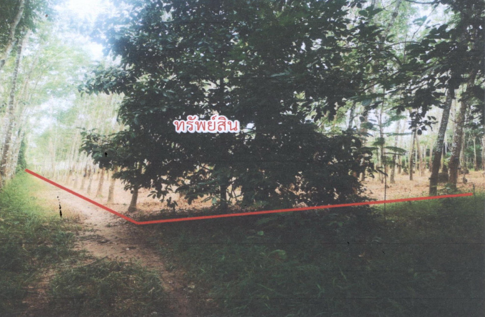 Residential land/lot Songkhla Na Thawi Na Thawi 529310