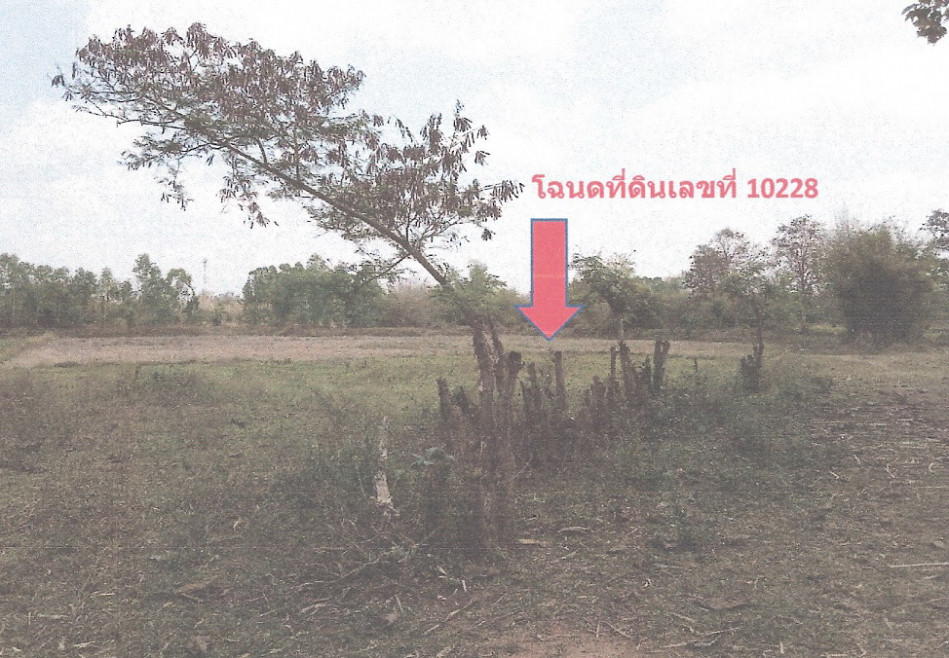 Residential land/lot Nong Bua Lam Phu Na Klang Kao Kloi 440910