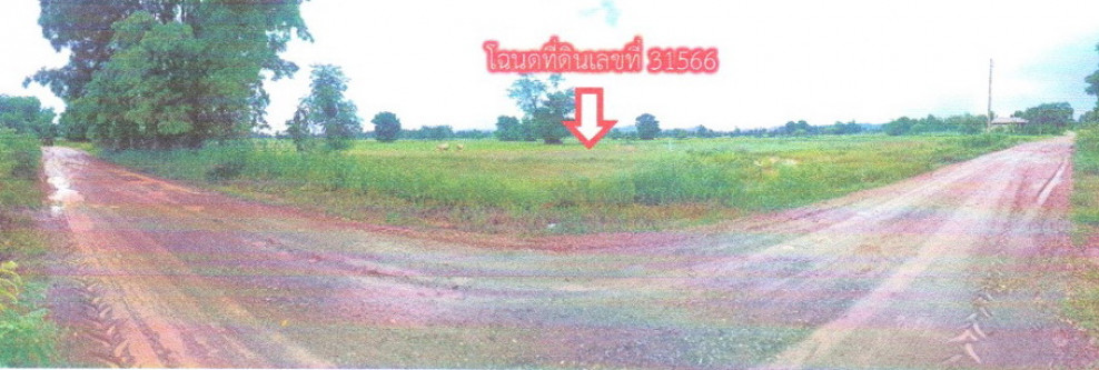 Residential land/lot Nong Bua Lam Phu Mueang Nong Bua Lam Phu Pho Chai 140000
