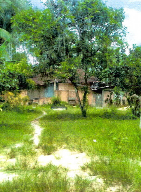 Single house Pattani Mayo Lubo Yiri 248440
