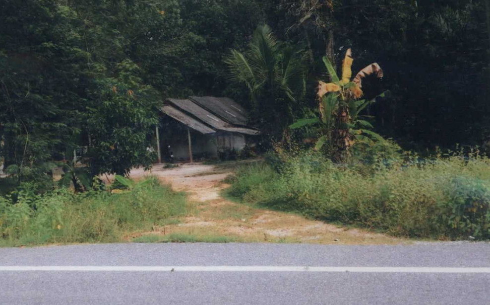 Single house Pattani Mayo Lubo Yiri 540597