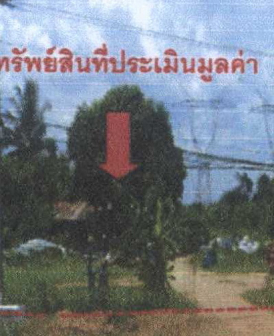 Residential land/lot Uttaradit Mueang Uttaradit Ngio Ngam 1340300