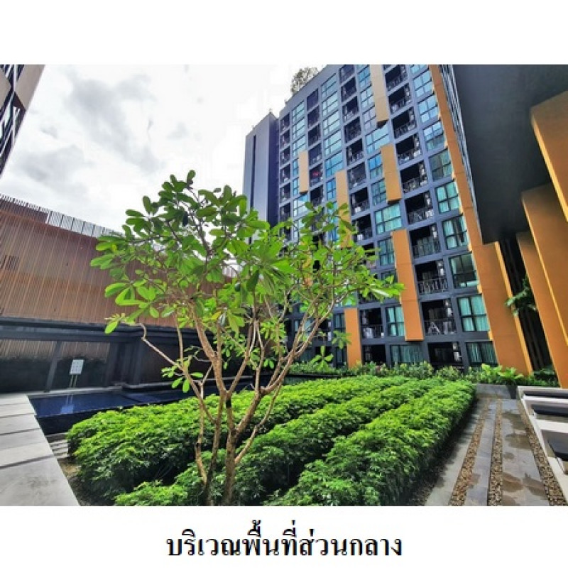 คอนโด เดอะ เบส ไฮท์-ภูเก็ต ภูเก็ต เมืองภูเก็ต ตลาดใหญ่ 4740000