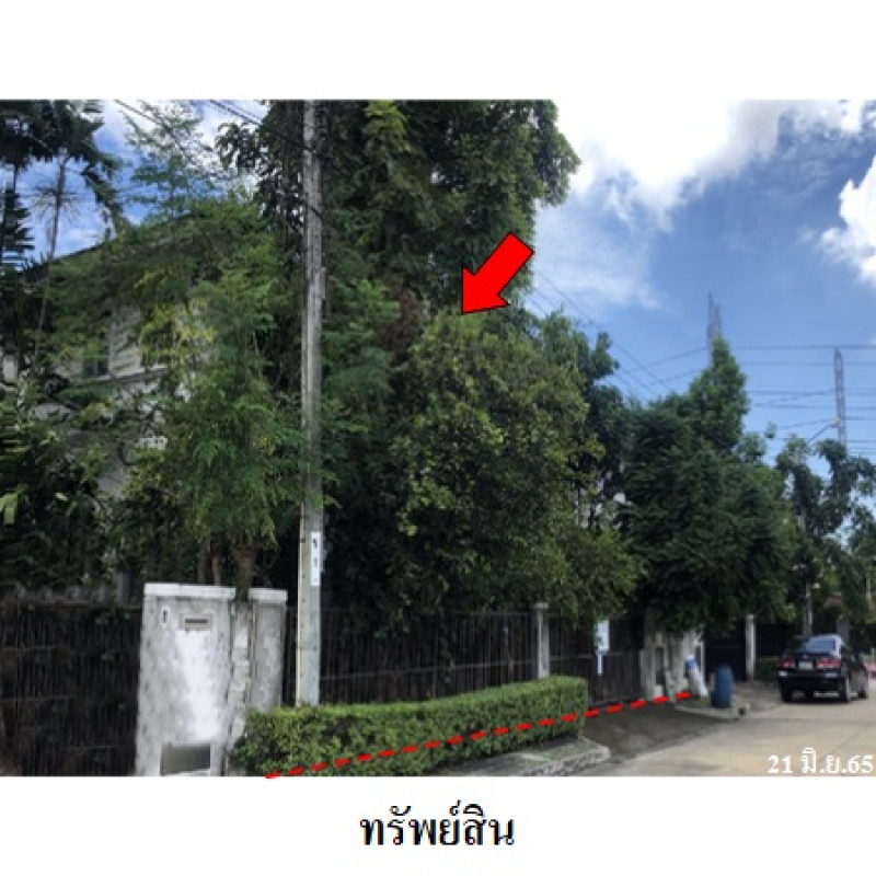 บ้านเดี่ยว พฤกษ์ลดา 2 (ท่าข้าม-พระราม 2) กรุงเทพมหานคร บางขุนเทียน ท่าข้าม 4060000