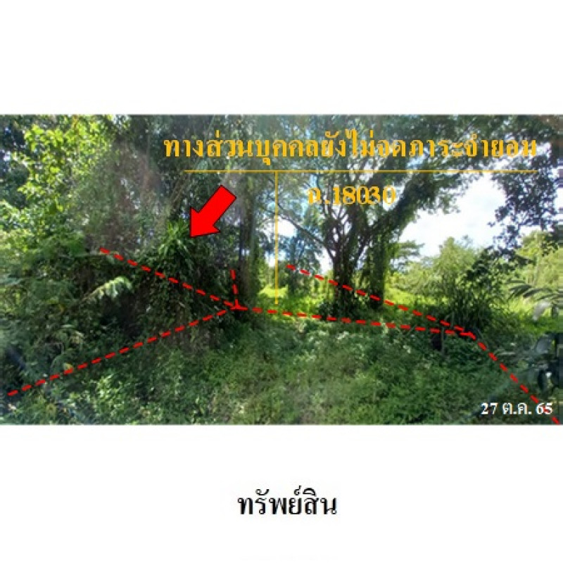 ที่ดินเปล่า เชียงใหม่ ดอยสะเก็ด ลวงเหนือ 1100000