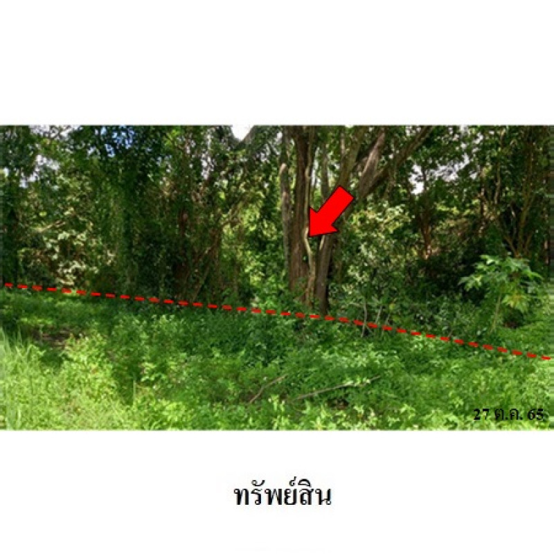 ที่ดินเปล่า เชียงใหม่ ดอยสะเก็ด ลวงเหนือ 1100000