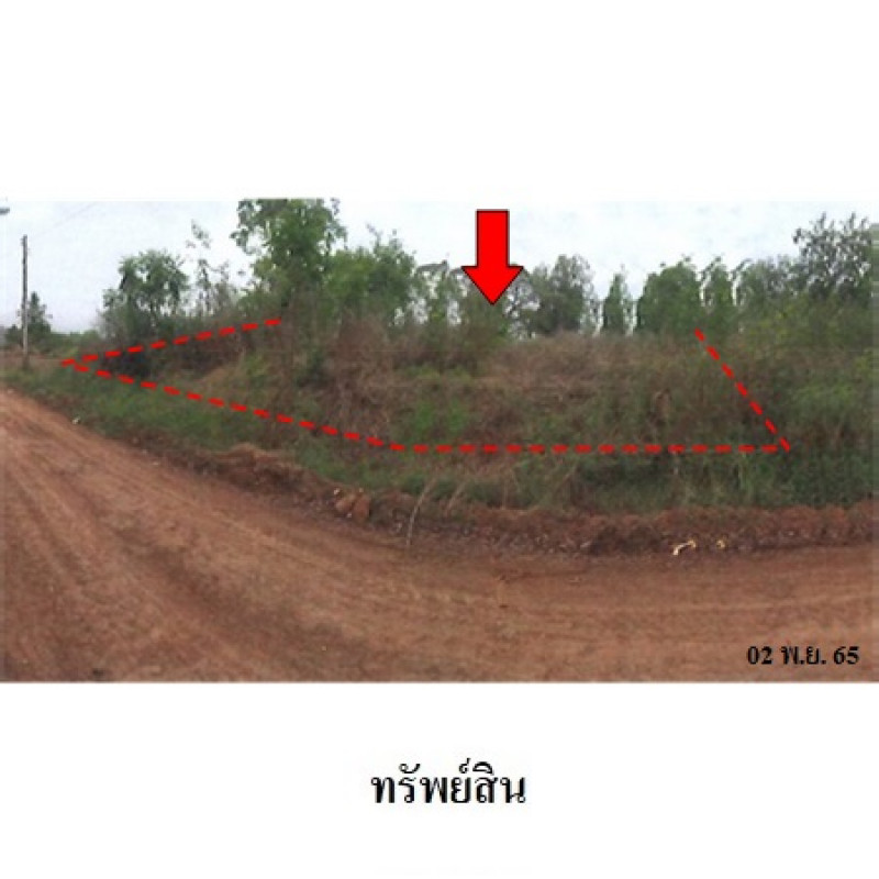 ที่ดินเปล่า ชาละวันวิลล่า พิจิตร เมืองพิจิตร บ้านบุ่ง 311900