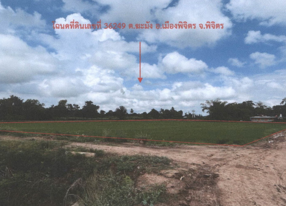 Residential land/lot Phichit Mueang Phichit Takhong 522250