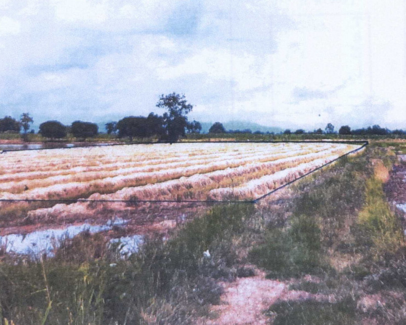 Residential land/lot Uttaradit Phichai Rai Oi 287500