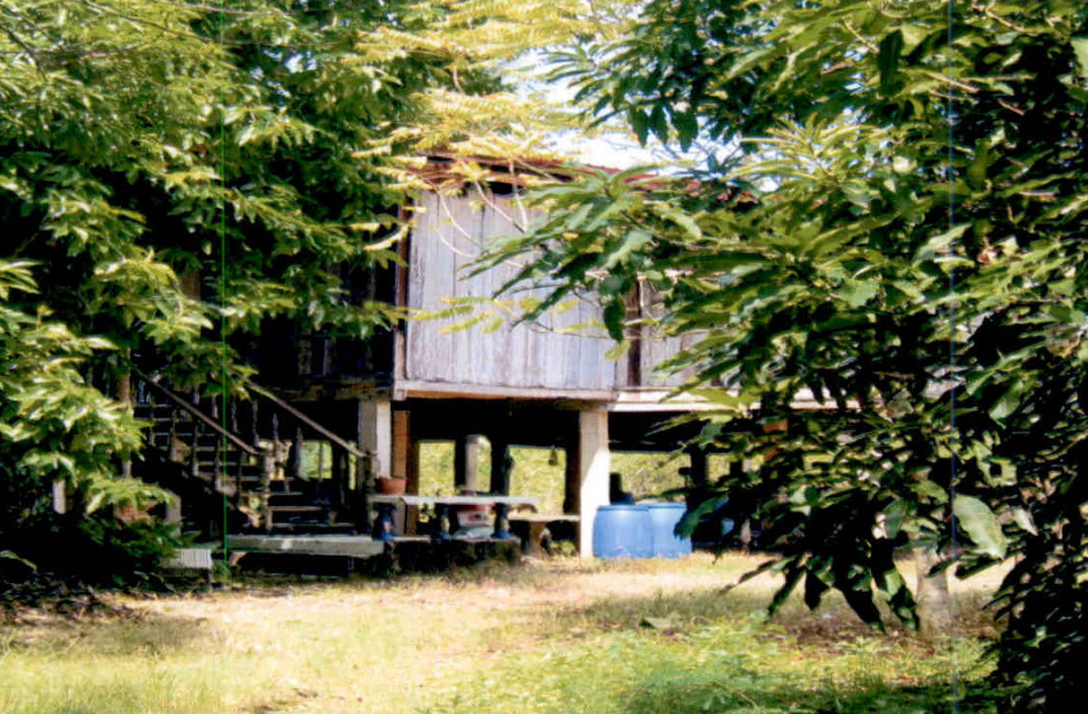 Single house Sukhothai Sri Satchanalai Mae Sin 1422088
