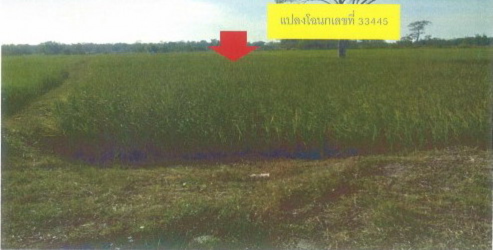 Residential land/lot Roi Et Phanom Phrai Pho Chai 900640