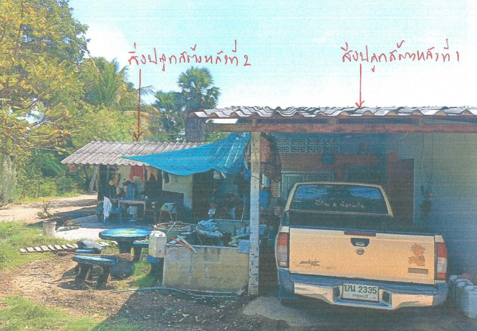 Single house Nakhon Pathom Kamphaeng Saen Nong Krathum 558320
