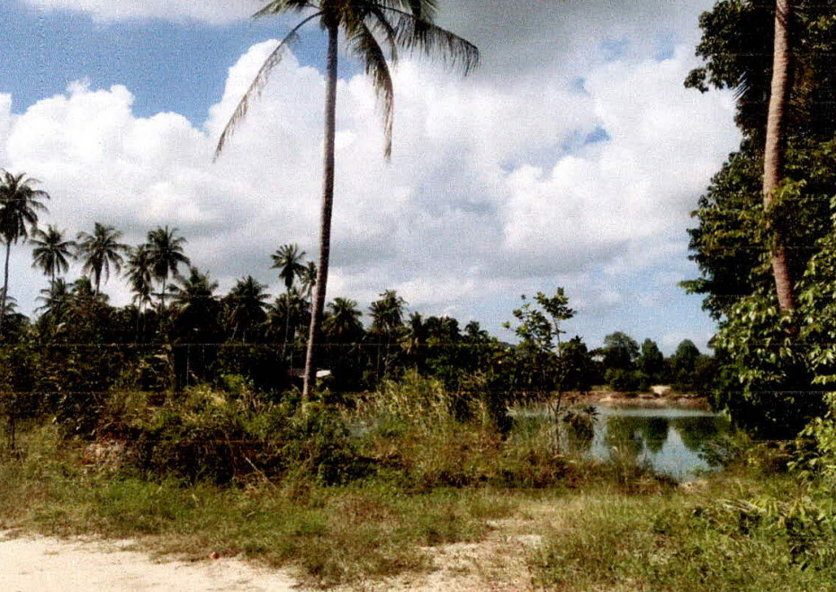 Residential land/lot Pattani Panare Ban Nam Bo 445464