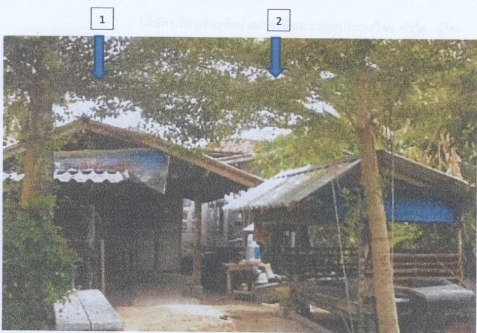 Single house Pattani Yaring Piya Mumang 906730