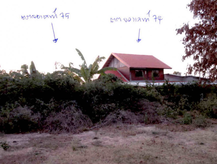 Single house Nakhon Ratchasima Bua Yai Bua Yai 18385480