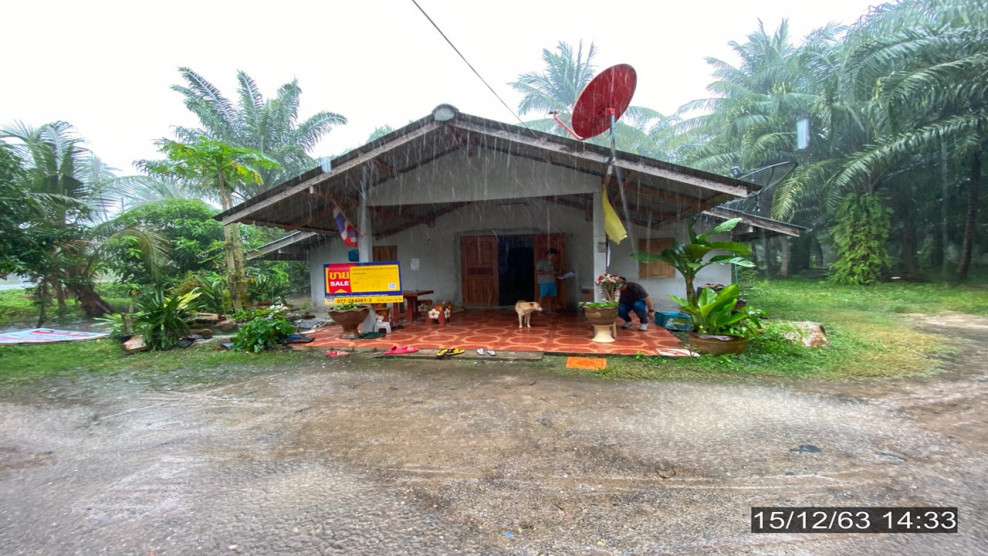 บ้านเดี่ยว ชุมพร หลังสวน นาพญา 1118000