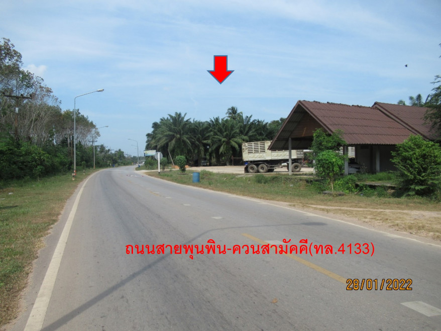 Single house Surat Thani Phunphin Tha Rong Chang 14988000